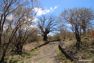 Monte Egitto